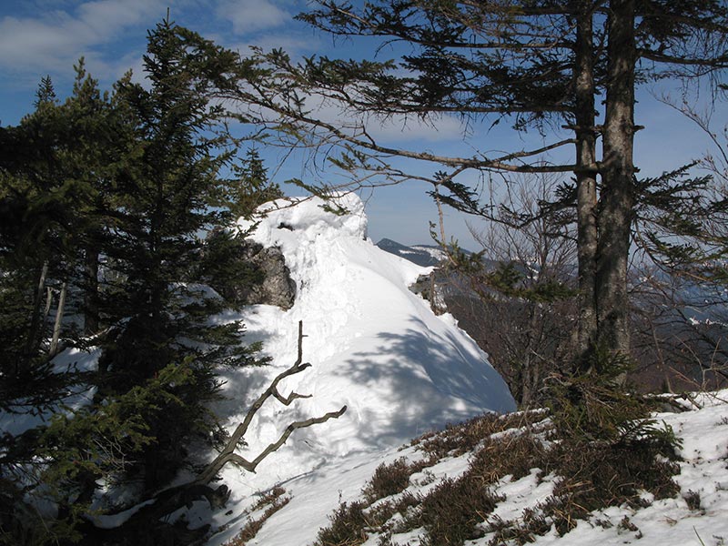 Hochsteinkogel